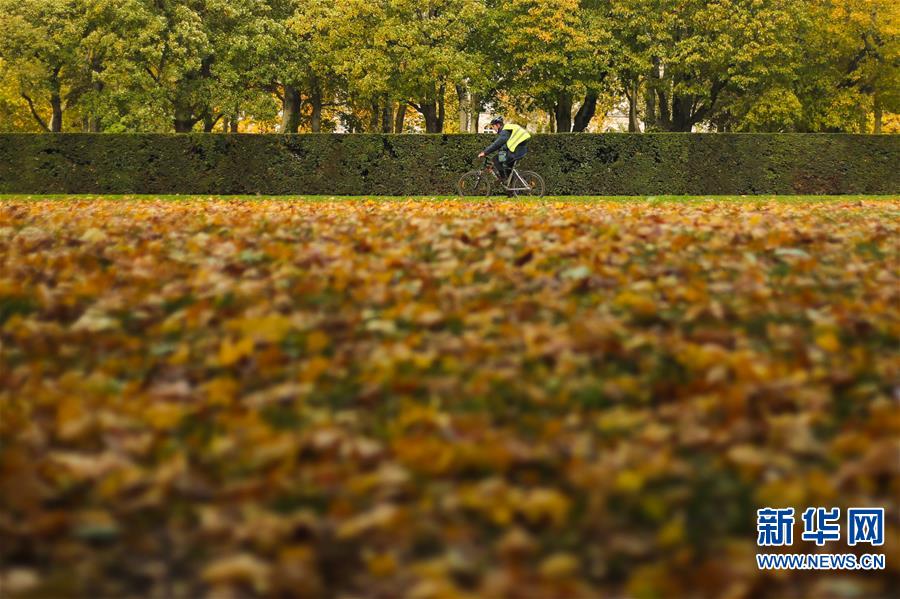（国际）（4）比利时：秋天的色彩