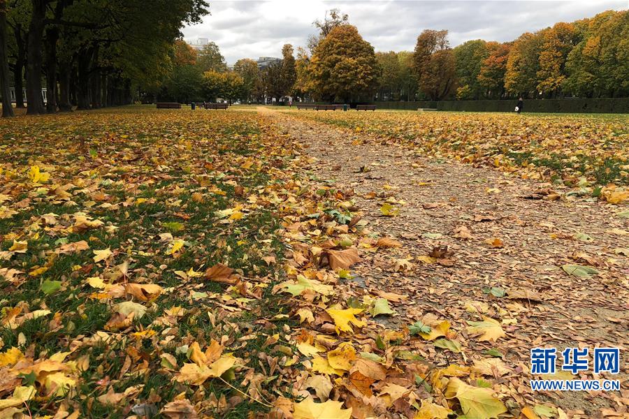 （国际）（5）比利时：秋天的色彩