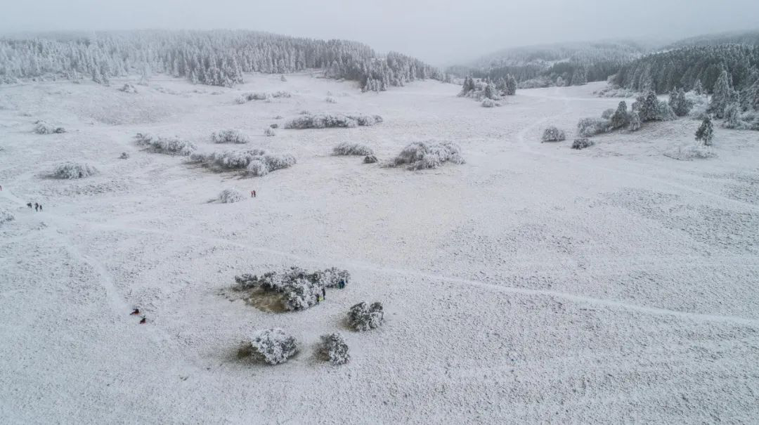 图片12.png 图片12.png