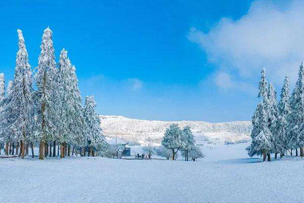 图片13.png 图片13.png