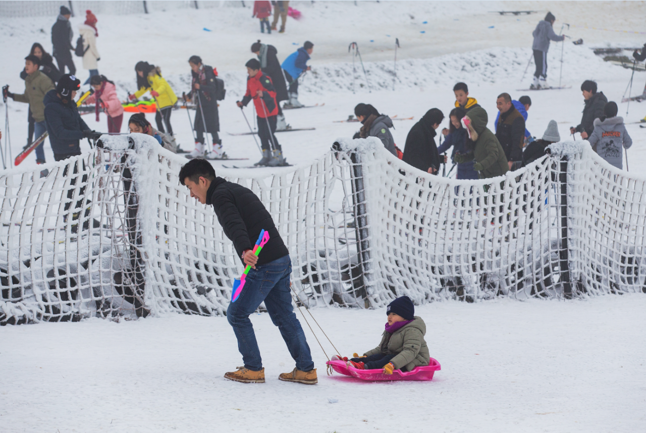 图片14.png 图片14.png