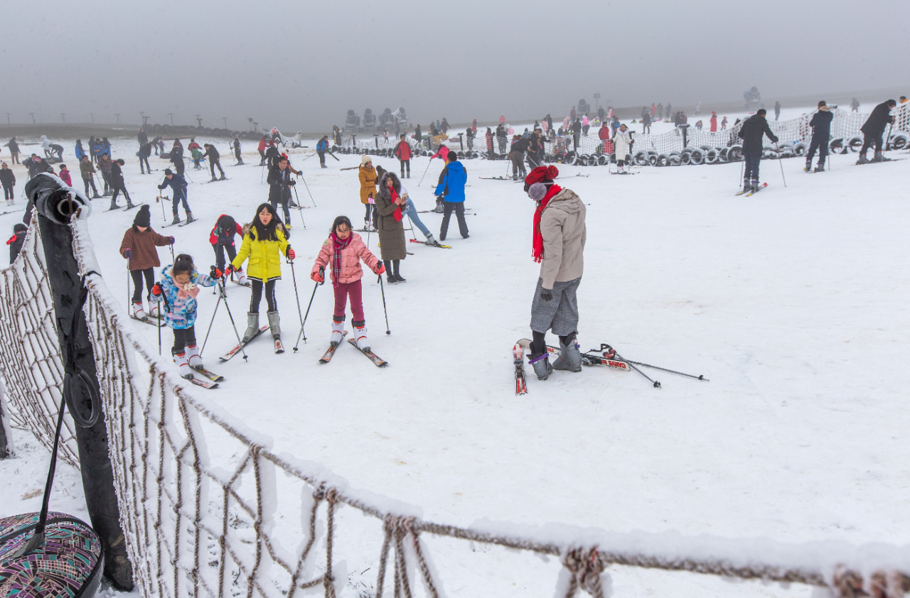 图片16.png 图片16.png