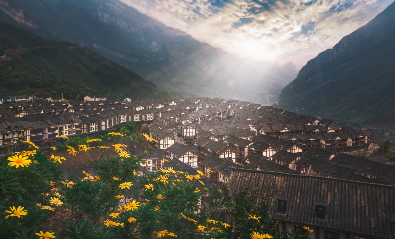 图片20.png 图片20.png