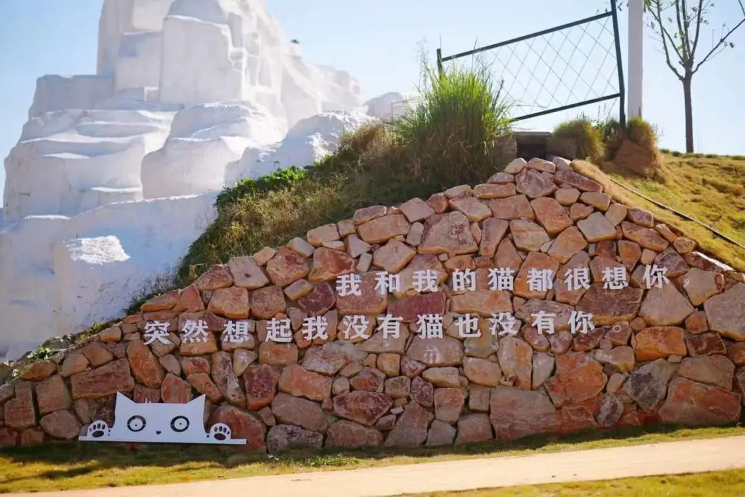 图片11.jpg