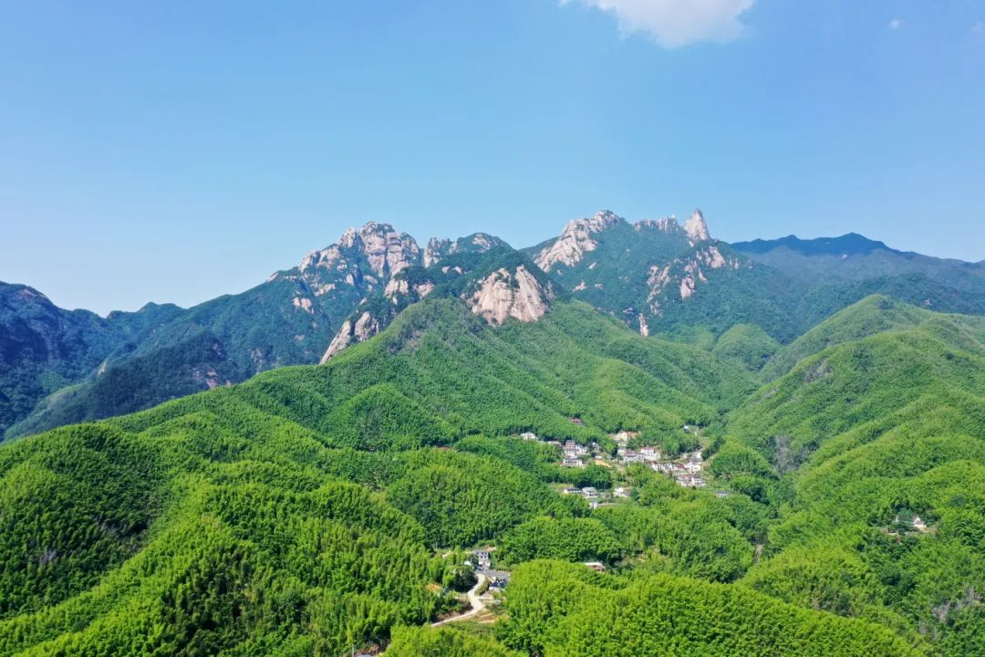 图片8.png 图片8.png