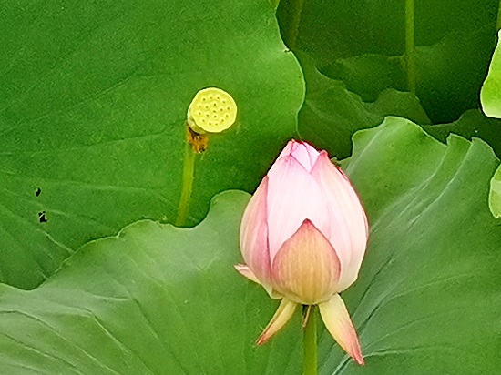 c573b61df9b6ddede8a7d265283e536b.jpg c573b61df9b6ddede8a7d265283e536b.jpg