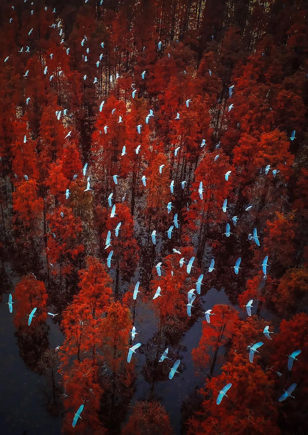 微信图片_20201122141400.jpg 微信图片_20201122141400.jpg