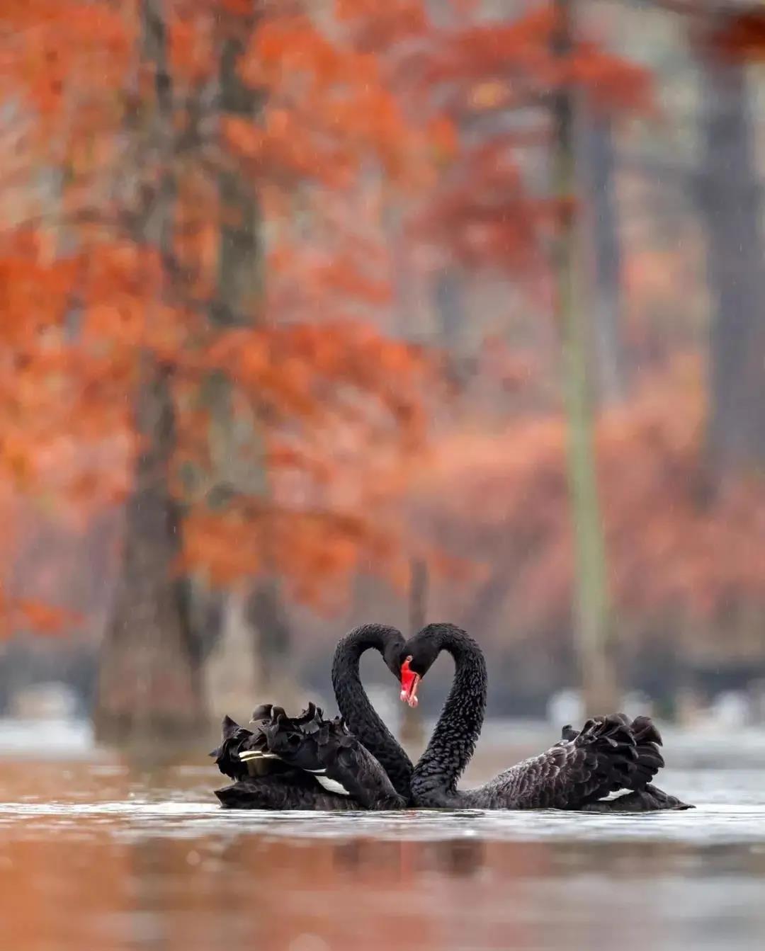 微信图片_20201122141410.jpg 微信图片_20201122141410.jpg